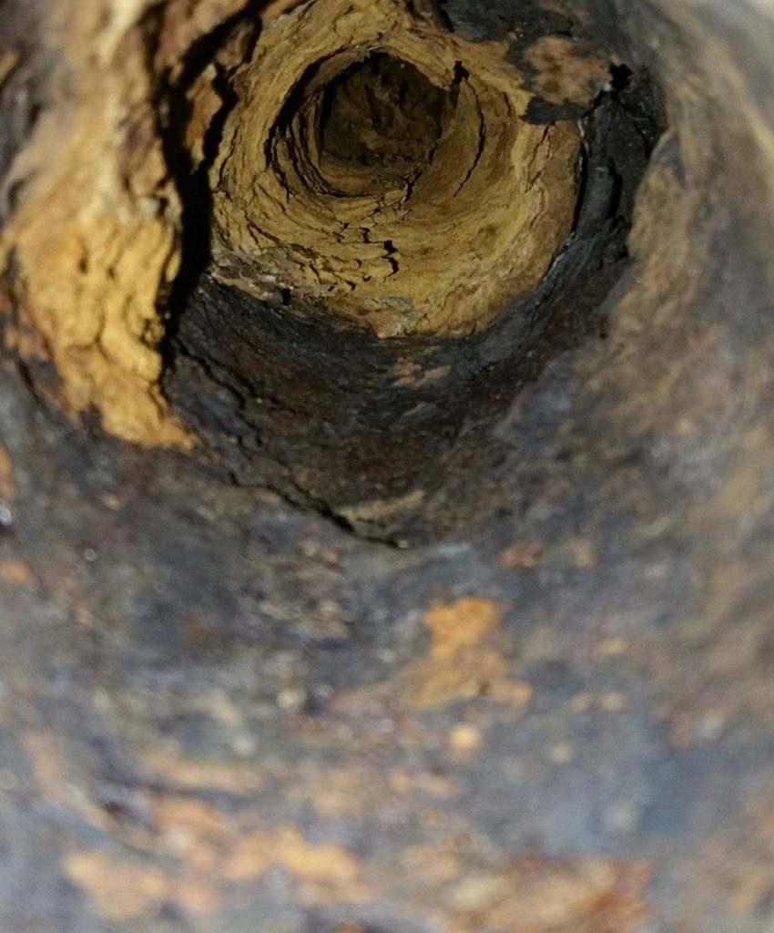 Main Sewer Line